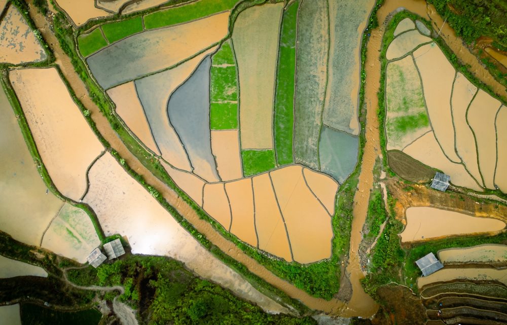 Mặt ruộng được dẫn nước vào, phẳng lặng như gương, phản chiếu ánh nắng vàng rực rỡ, những đám mây trắng bồng bềnh và cả màu xanh ngọc bích của cây cối xung quanh. Cả một vùng núi non như bừng sáng, tràn đầy sức sống.