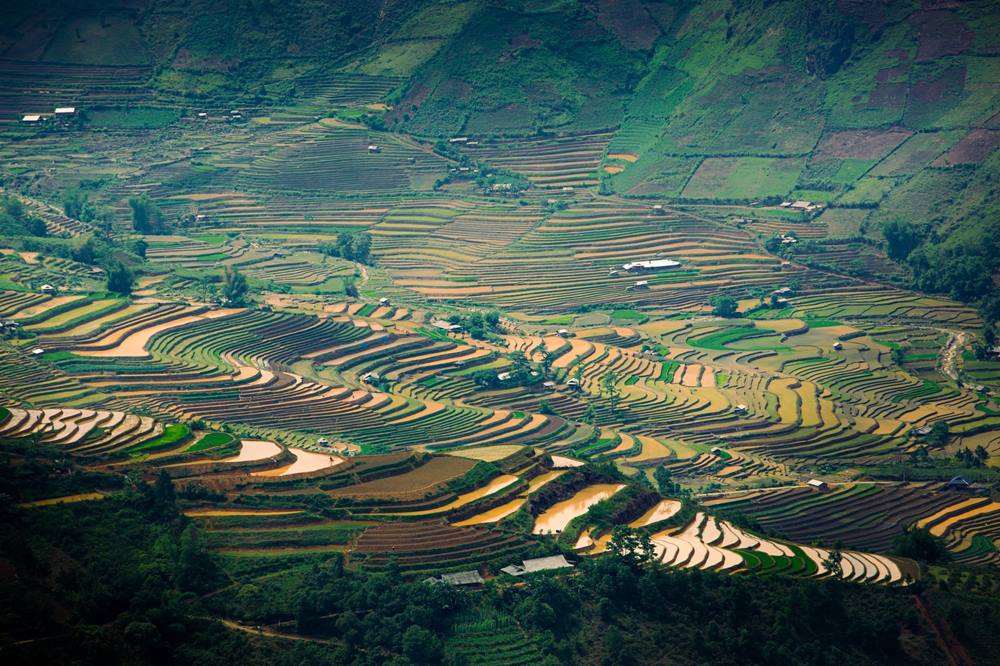 Ánh sáng huyền ảo của bình minh và hoàng hôn là “thời khắc vàng” làm nổi bật vẻ đẹp quyến rũ của những thửa ruộng bậc thang mùa nước đổ. Một số địa điểm lý tưởng để ngắm nhìn và ghi lại những khoảnh khắc tuyệt đẹp của Mù Cang Chải mùa nước đổ là La Pán Tẩn, Chế Cu Nha, Dế Xu Phình, đồi Mâm Xôi (Khau Phạ).