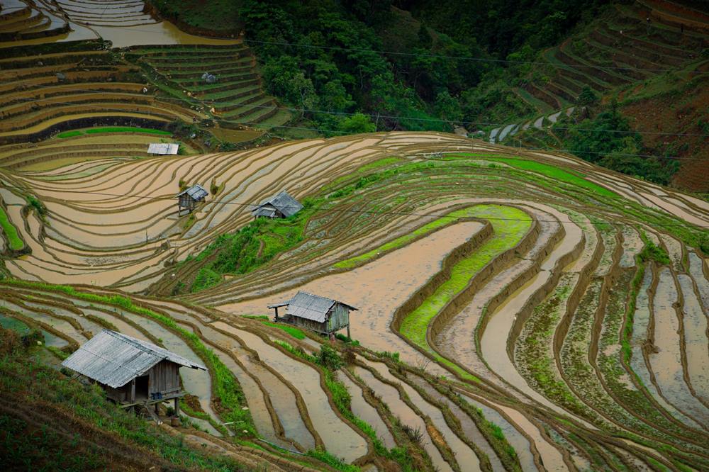 Lưu ý khi khám phá Mù Cang Chải mùa nước đổ, do đường đi khá dốc và quanh co, bạn nên chọn phương tiện di chuyển phù hợp và lái xe cẩn thận.