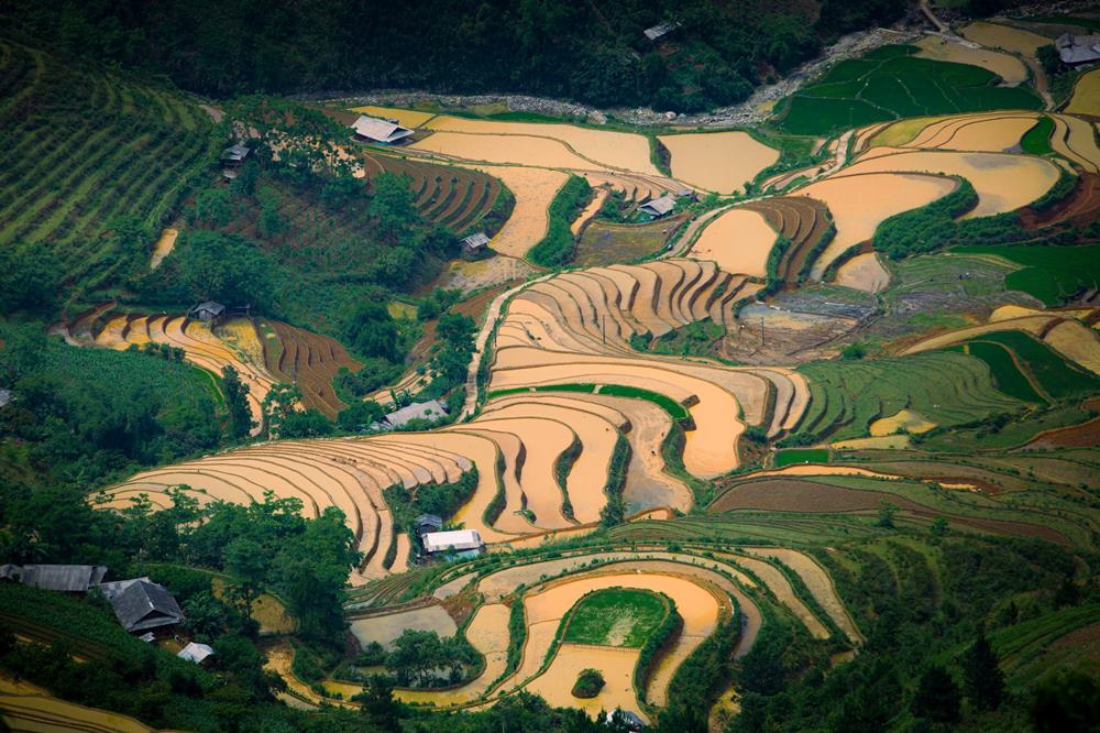 Khi những cơn mưa đầu hạ trút xuống, tưới mát những thửa ruộng bậc thang khô cằn, Mù Cang Chải (Yên Bái) lại khoác lên mình một vẻ đẹp kỳ diệu, lấp lánh như hàng ngàn chiếc gương khổng lồ phản chiếu bầu trời.
