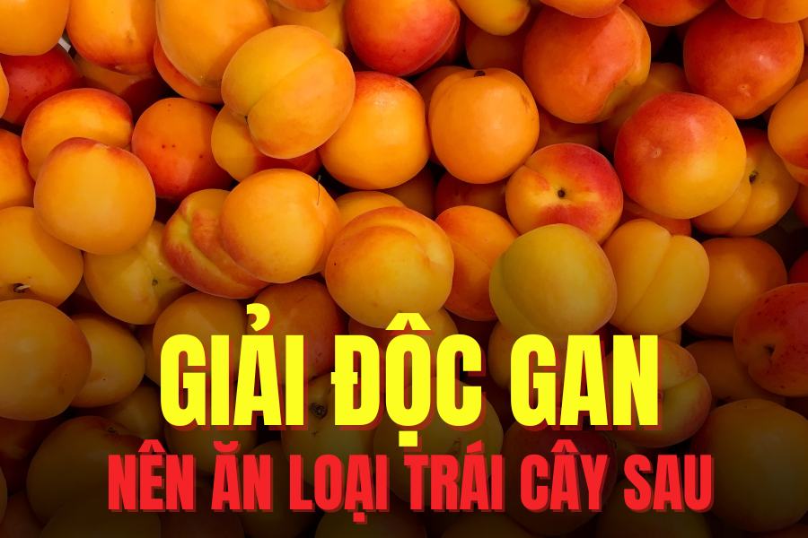 Adding apricots to your diet appropriately helps detoxify the liver effectively. Graphics: Tra My