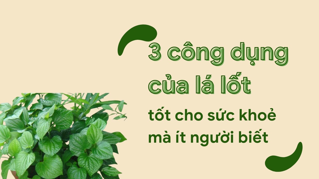 Soaking your feet and hands in betel leaf water and salt will reduce joint pain. Graphic photo: Huong Son