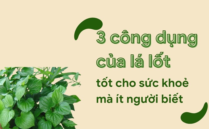 Soaking your feet and hands in betel leaf water and salt will reduce joint pain. Graphic photo: Huong Son