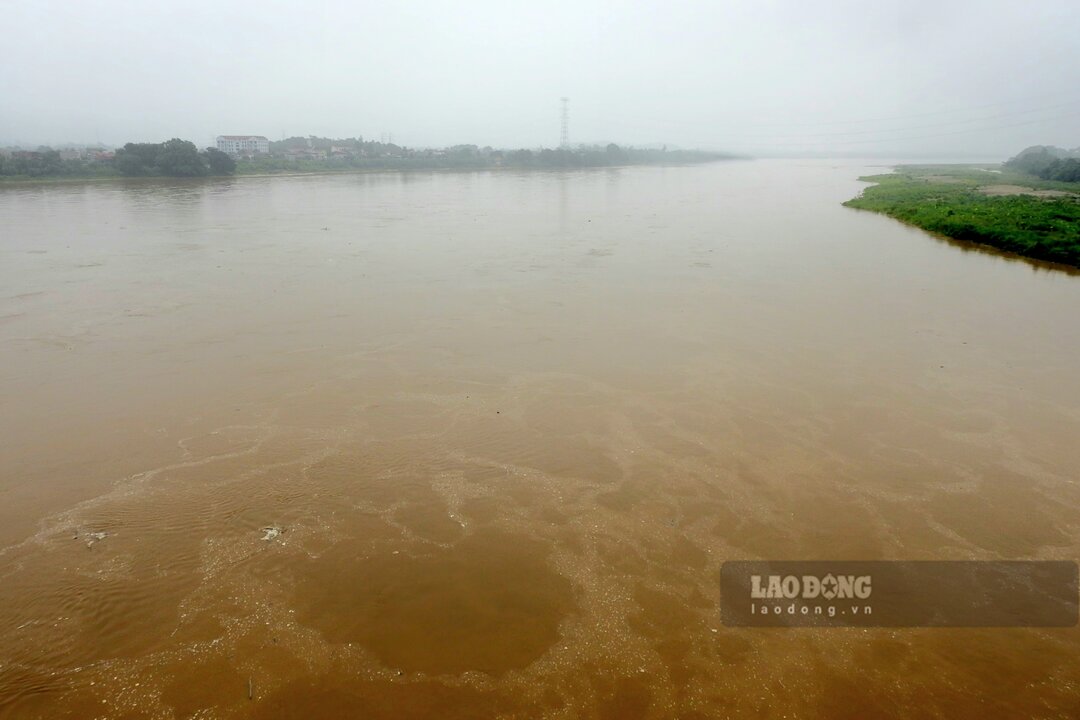 Song Hong menh mong nuoc lu tai khu vuc cau Ngoc Thap, thi xa Phu Tho. Anh: To Cong.