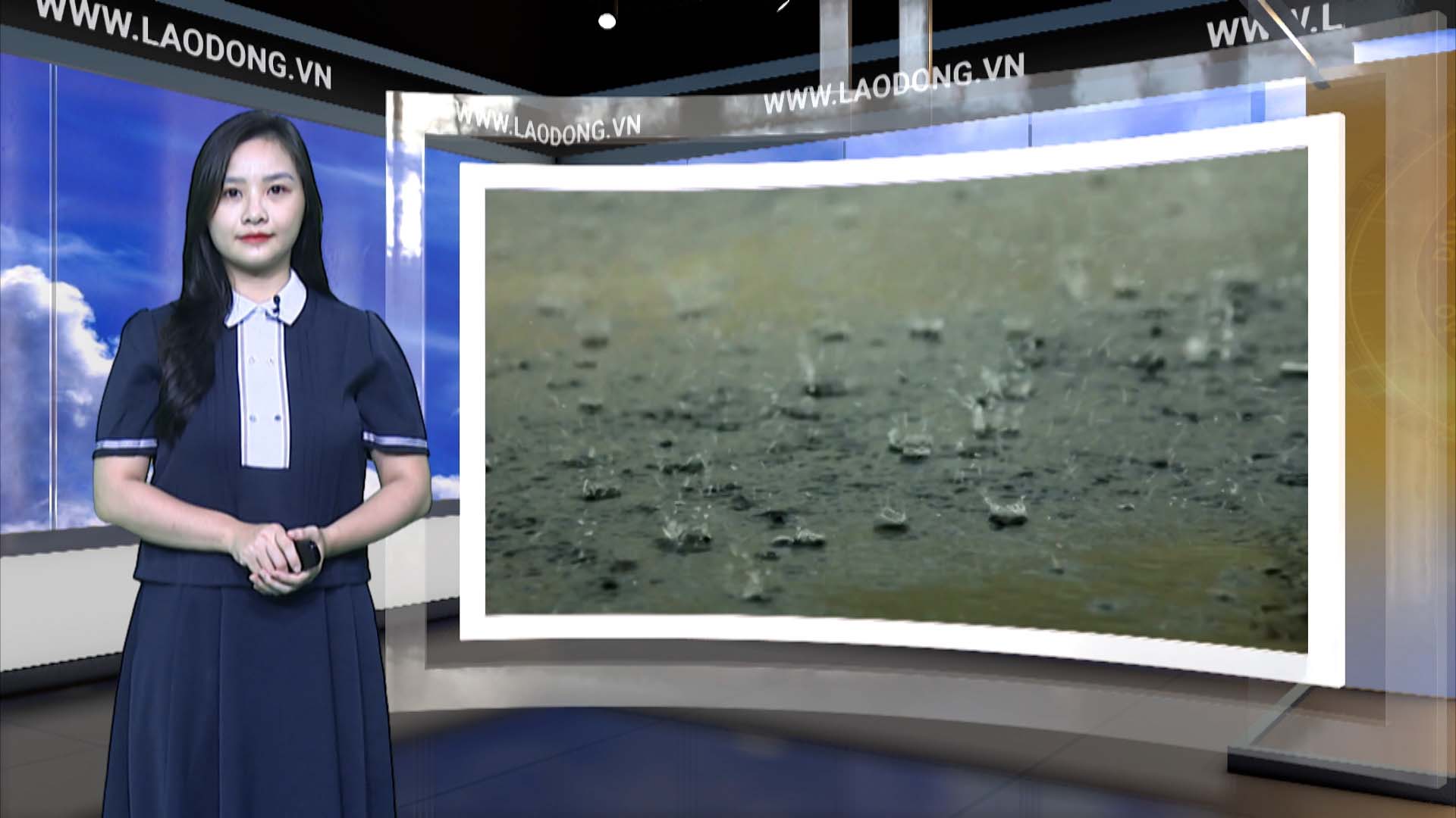 Weather forecast for tonight and tomorrow, June 24