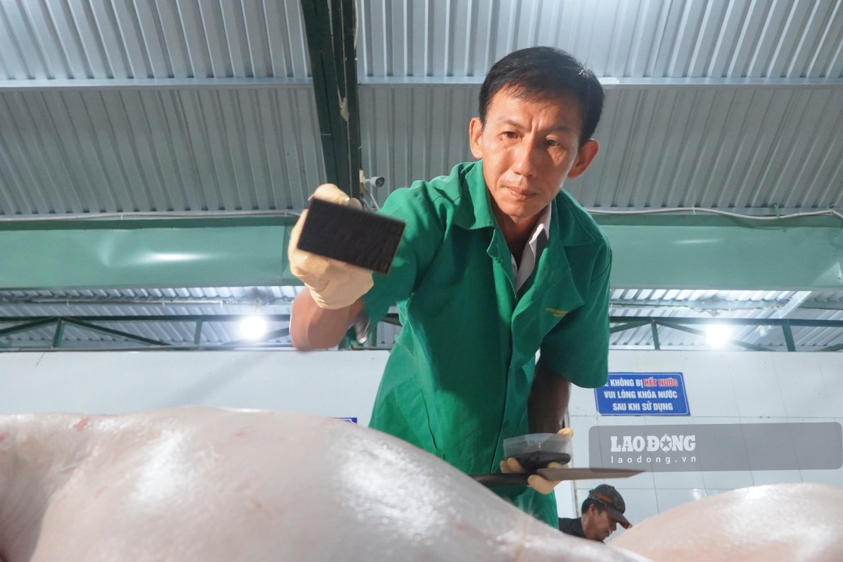 Anh Tran Phuoc Dai, can bo Chi cuc Chan nuoi va Thu y TP Can Tho kiem soat giet mo. Anh: Ta Quang