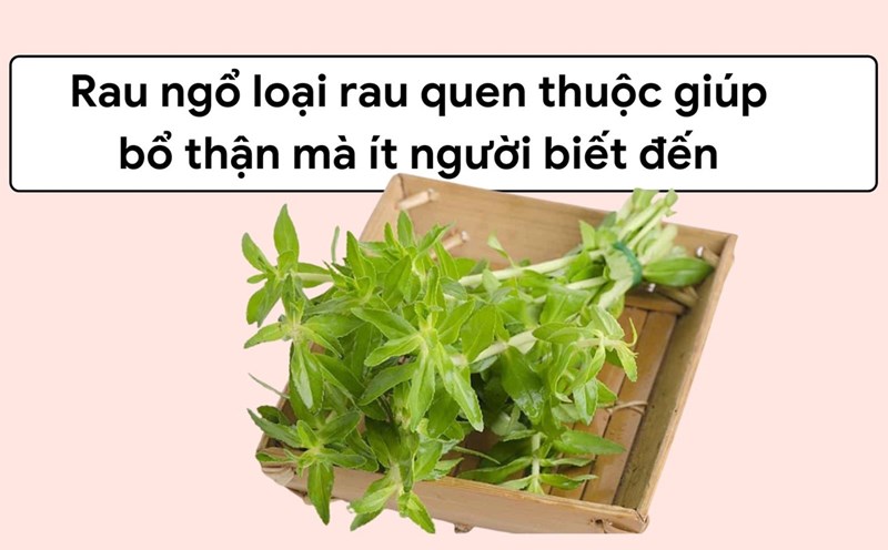 Spinach is not only delicious but also a valuable medicine in traditional medicine that has the effect of enriching the kidneys. Graphic photo: Huong Son