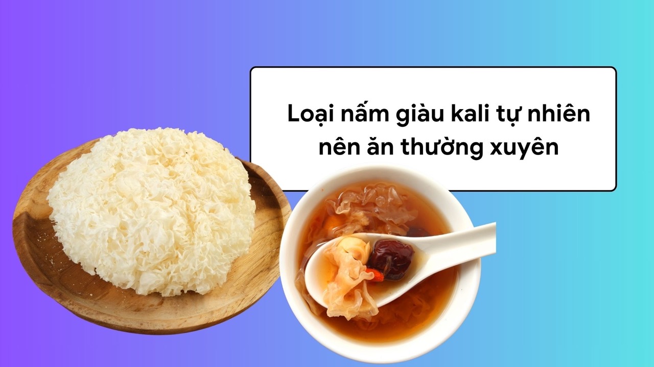 White presidential plant is a type of mushroom rich in potassium, good for health. Graphic photo: Huong Son