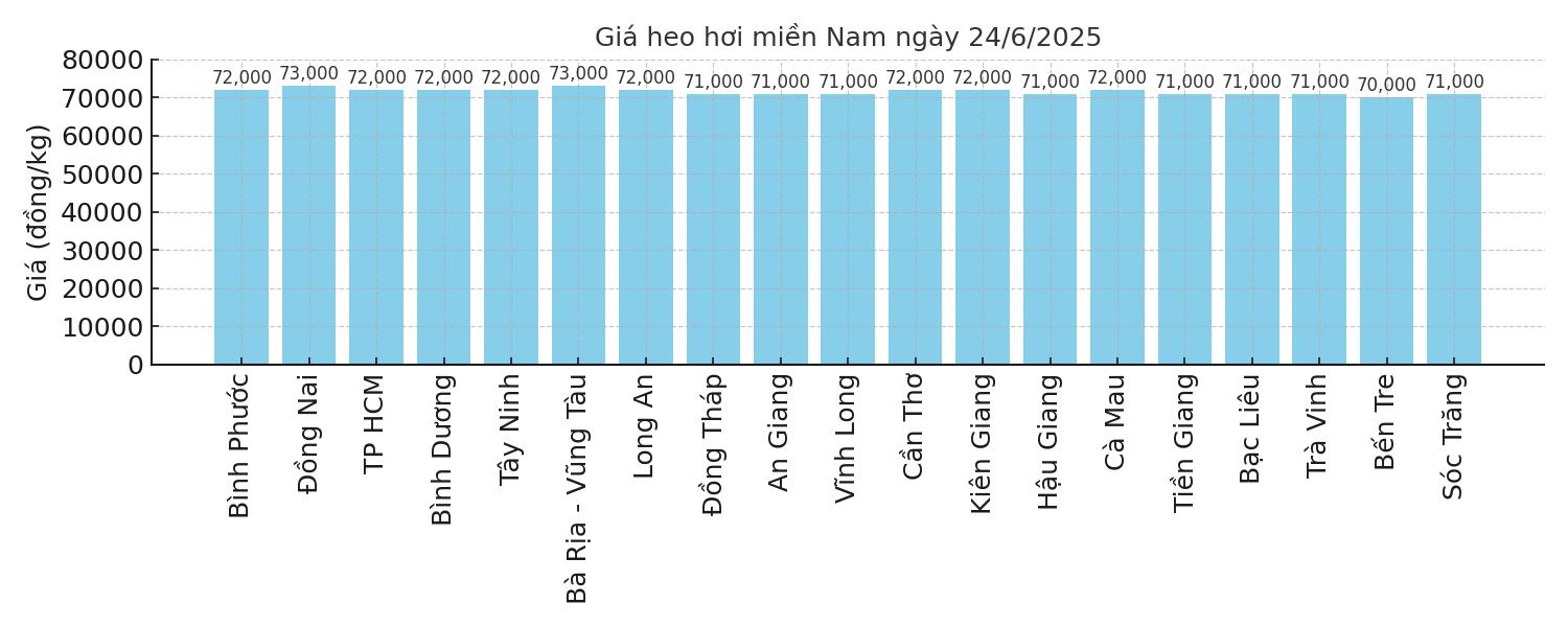 Gia heo hoi mien Nam hom nay 24.6. Do hoa: Thuy Linh