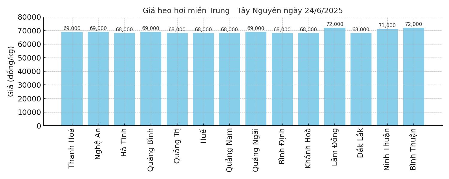 Gia heo hoi mien Trung - Tay Nguyen hom nay 24.6. Do hoa: Thuy Linh