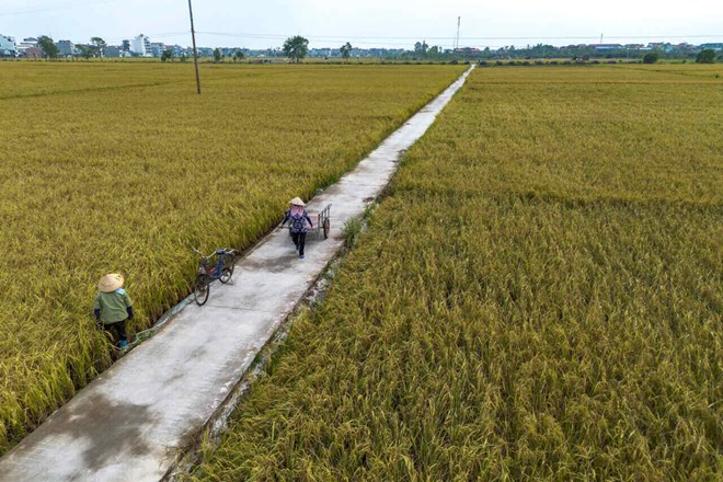 Hai Duong approved nearly 4 billion VND for industrial promotion projects in 2025. Photo: Mai Huong