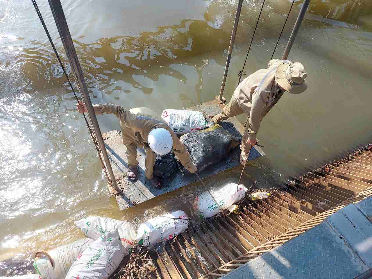 The agricultural sector of Binh Duong province has proposed that Binh Phuoc coordinate in disease prevention against the phenomenon of dead pigs being thrown into water canals. Photo: Dinh Trong