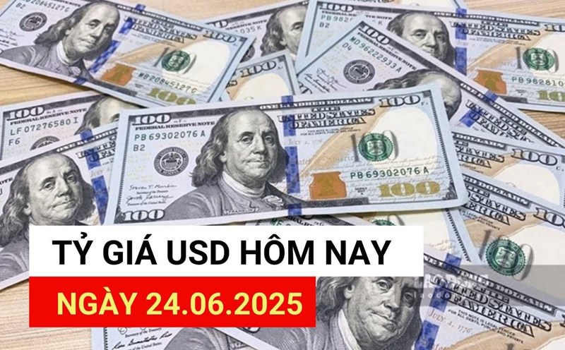 USD exchange rate today 24.6: Why did the USD suddenly reverse?