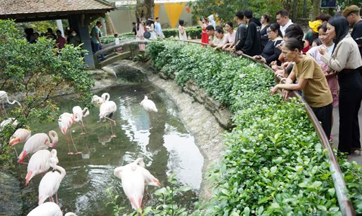 Thảo Cầm Viên là điểm đến thu hút nhóm khách gia đình có trẻ nhỏ dịp hè. Ảnh: Chân Phúc