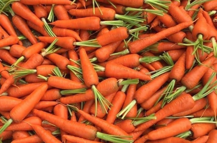 Carrots are recommended for dinner to support the liver and kidneys. Photo: Kieu Vu