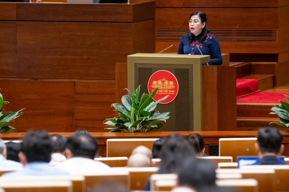 Chu nhiem Uy ban Cong tac dai bieu Nguyen Thanh Hai. Anh: Pham Dong