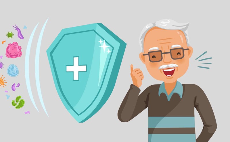 Some ways to boost immunity in the elderly. Graphics: Ha May