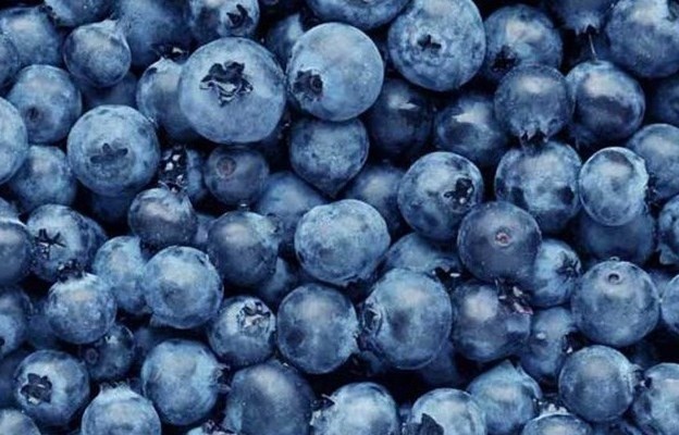 Is it good to eat berries every day? Photo: Hai Anh