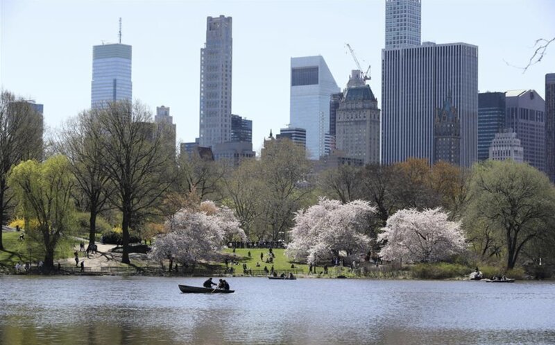 El calor causo que la temperatura en Central Park en Nueva York alcanzara 36 C el 23 de junio. Foto: Xinhua