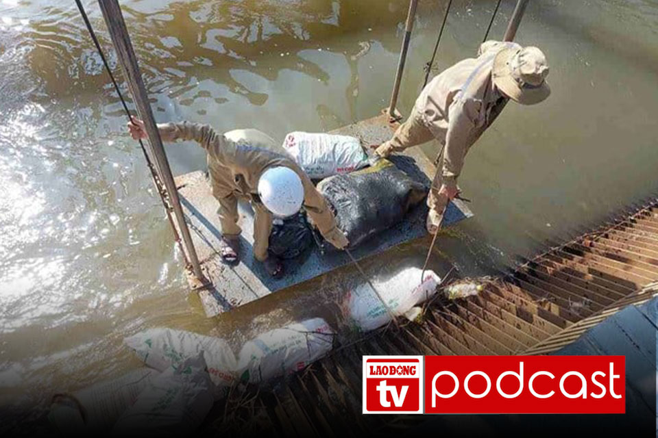 Morning news 25.6: Binh Duong proposes Binh Phuoc to handle the case of throwing dead pigs into the canal