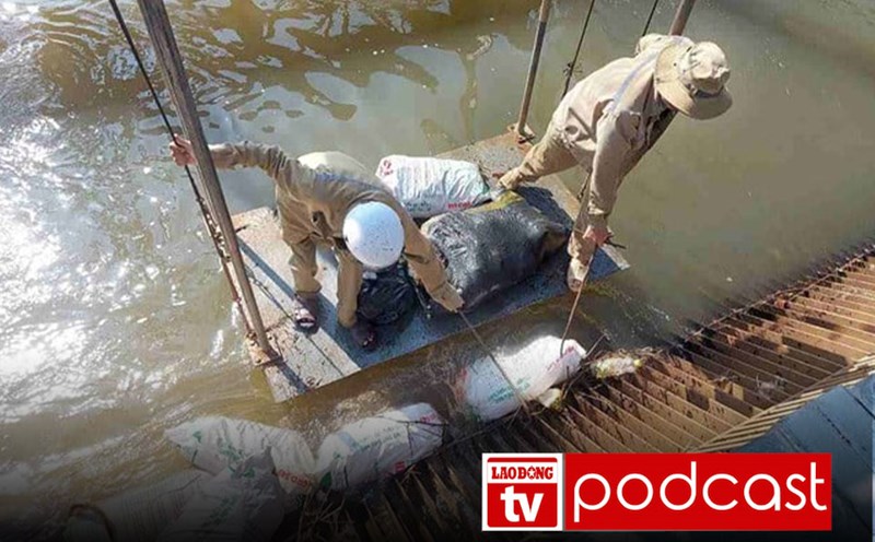 Morning news 25.6: Binh Duong proposes Binh Phuoc to handle the case of throwing dead pigs into the canal