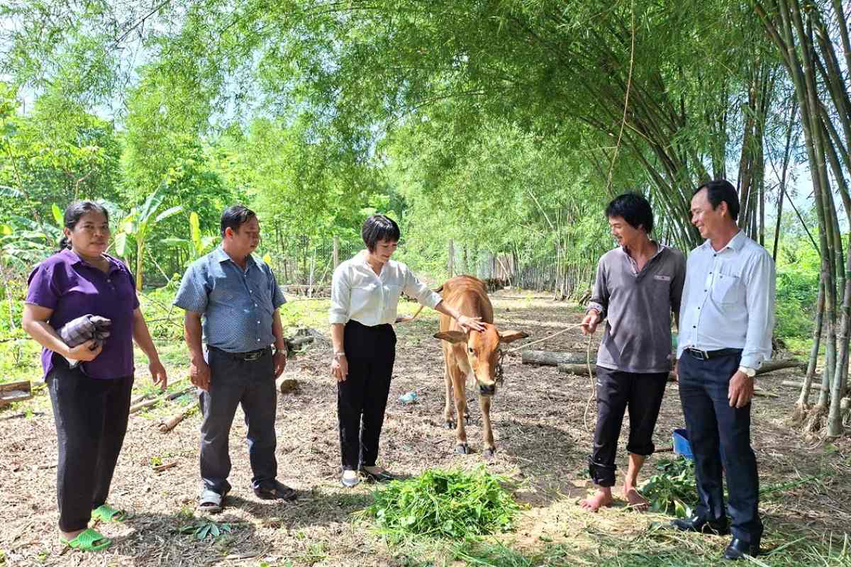 El Comite del Frente de la Patria de Vietnam de Vung Tau City entrego vacas a los pobres en Long Son Commune. Foto: Minh Thanh