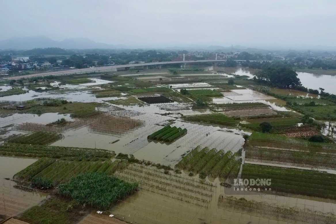 Du bao thoi tiet ngay mai 25.6 mua dong rai rac tren ca nuoc. Anh: Nguyen Hoan