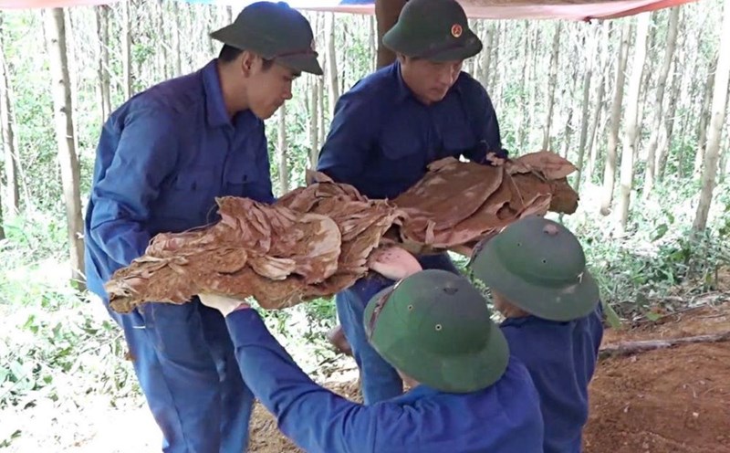 The 968 Division Martyrs' Remains Collection Team discovered the remains of martyrs. Photo: Han Nguyen