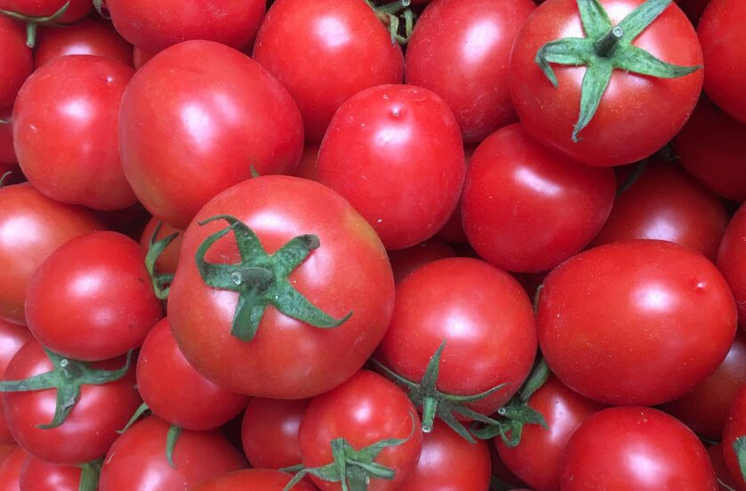 Tomatoes are one of the recommended foods to have for breakfast. Photo: Ha Anh