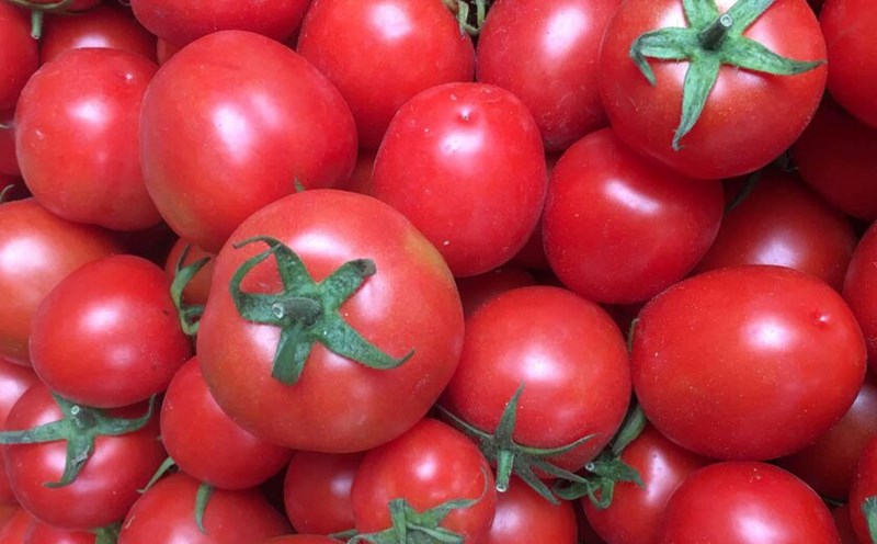 Tomatoes are one of the recommended foods to have for breakfast. Photo: Ha Anh