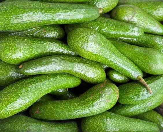 El aguacate es una de las frutas que pueden ayudar a reducir la grasa sanguinea cuando se incluye en la dieta de verano. Foto: Kieu Vu