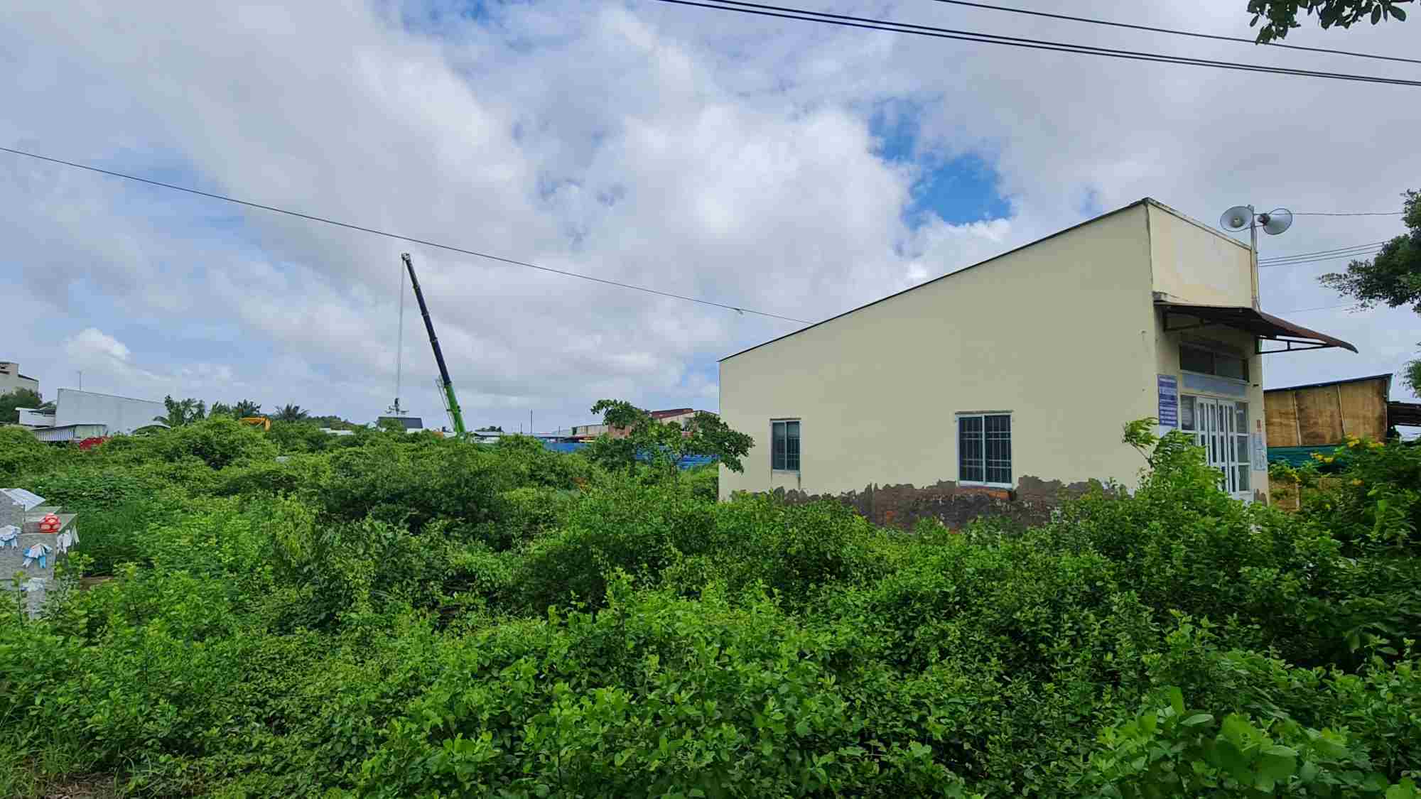La sede de NHA Mat, Nha Mat Ward, Bac Lieus City todavia opera normalmente en el lote de la tierra (foto tomada en la mañana del 24 de junio de 2025). Foto: Nhat Ho