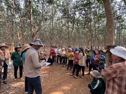 Nguoi lao dong tai cong ty cao su duoc cai thien doi song, muc thu nhap. Anh: Thanh Tuan