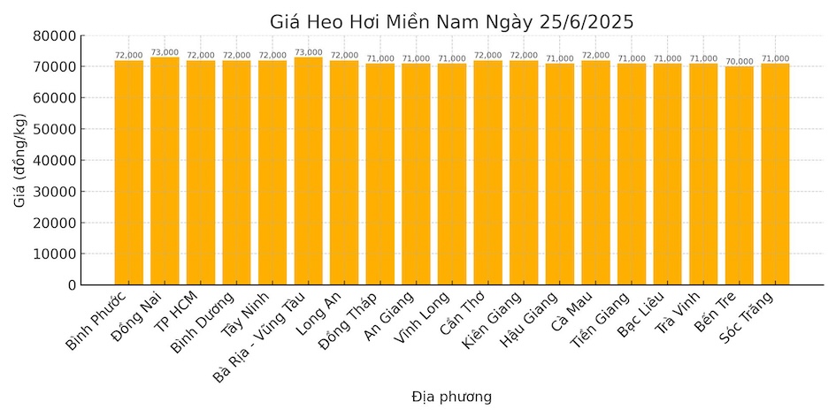 Gia heo hoi mien Nam ngay 25.6. Do hoa: Thuy Linh.