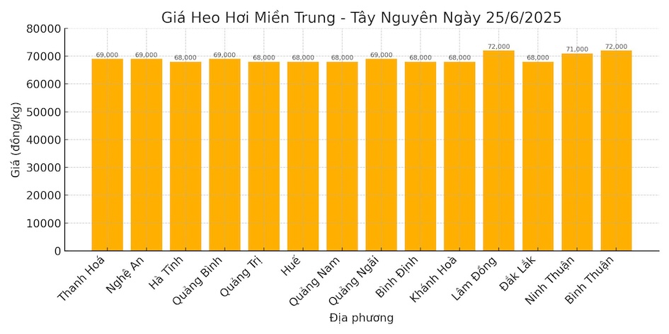Gia heo hoi mien Trung - Tay Nguyen ngay 25.6. Do hoa: Thuy Linh.