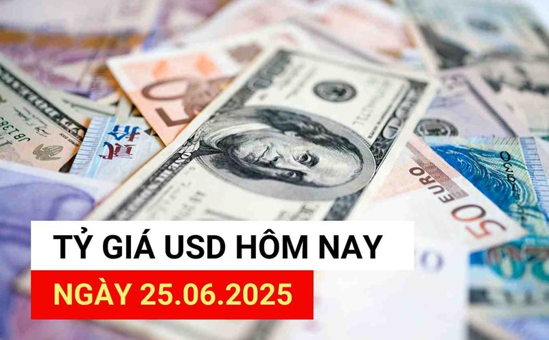 USD exchange rate today 25.6.2025.