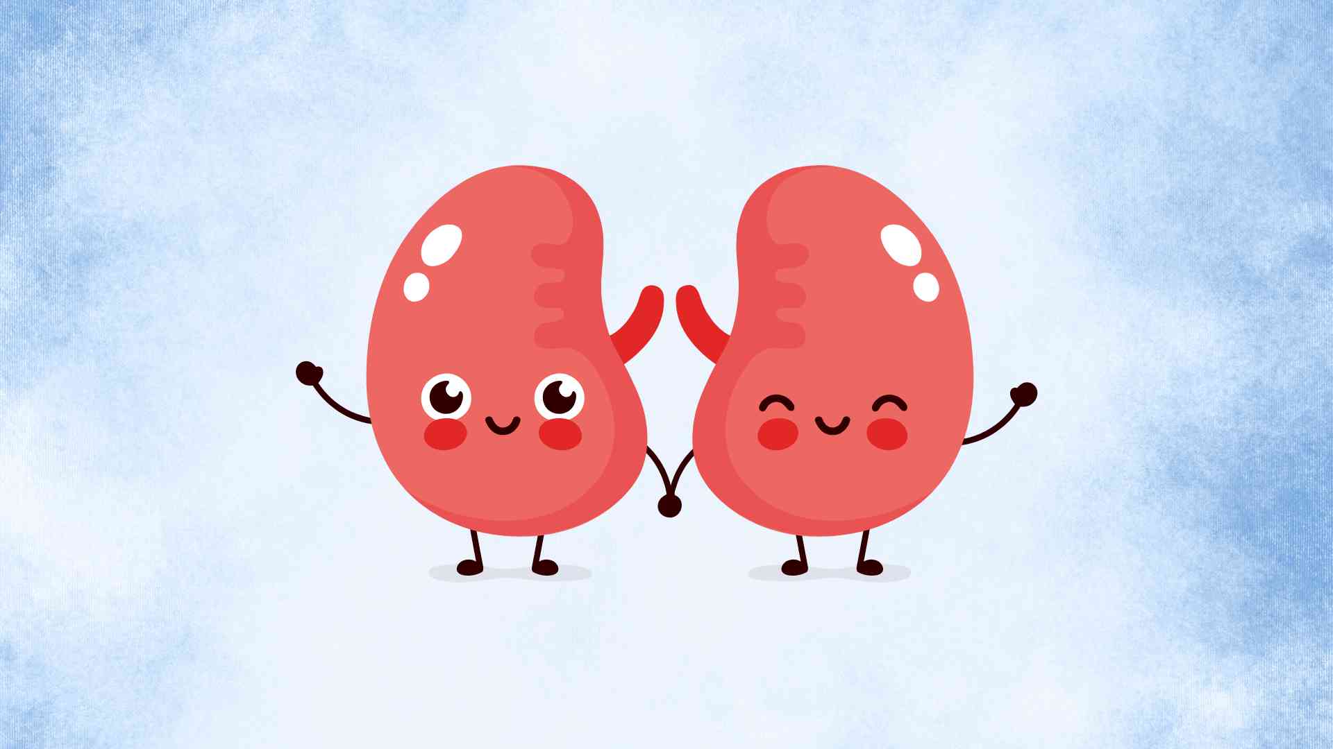 5 daily habits to help make your kidneys healthier. Graphic photo: Hoang Loc