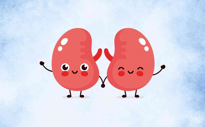 5 daily habits to help make your kidneys healthier. Graphic photo: Hoang Loc