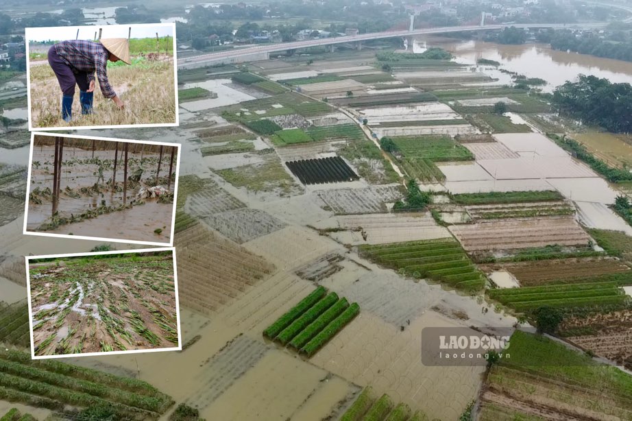 Las personas montañosas se preocuparon por los medios de vida despues de la gran inundacion. Foto: Dang Vu.