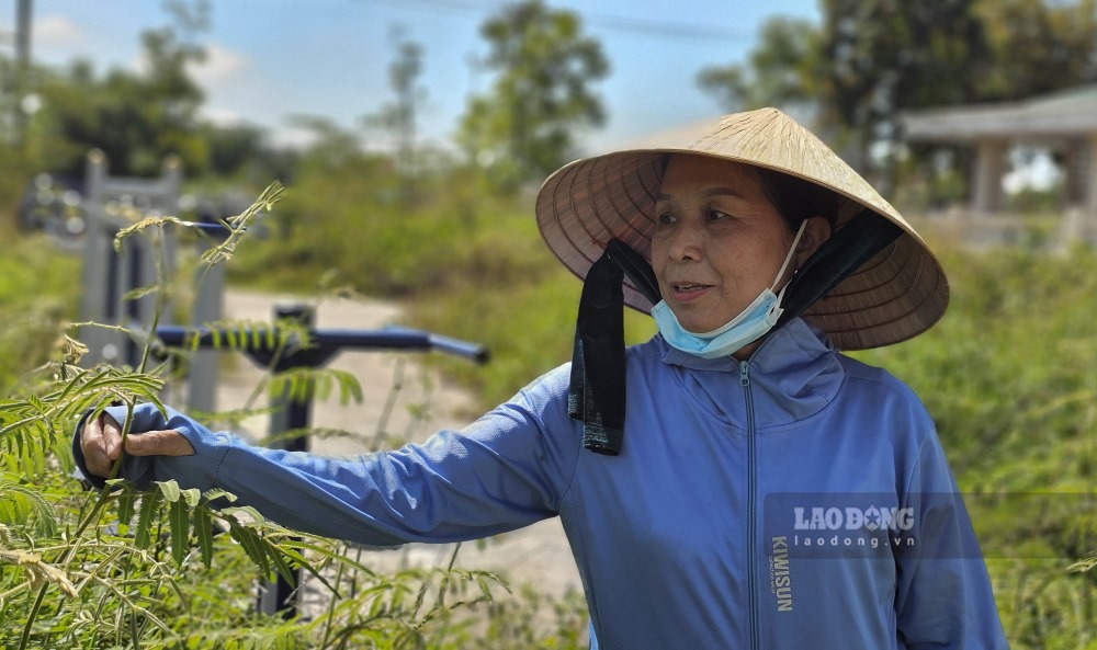 “Sang som, ho khong dam den tap, ban dem thi khong co den, cay co lai ram rap, so ran. Toi la nguoi lon tuoi, cung rat muon di tap the duc nhung cho tap phai sach se, sang sua” - ba Truong Thi Thu, mot nguoi dan chia se.