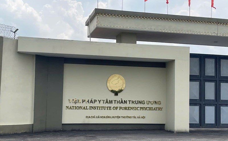 Mental assessment - it is time to open the process, re-assess when necessary. Photo: Ha Le