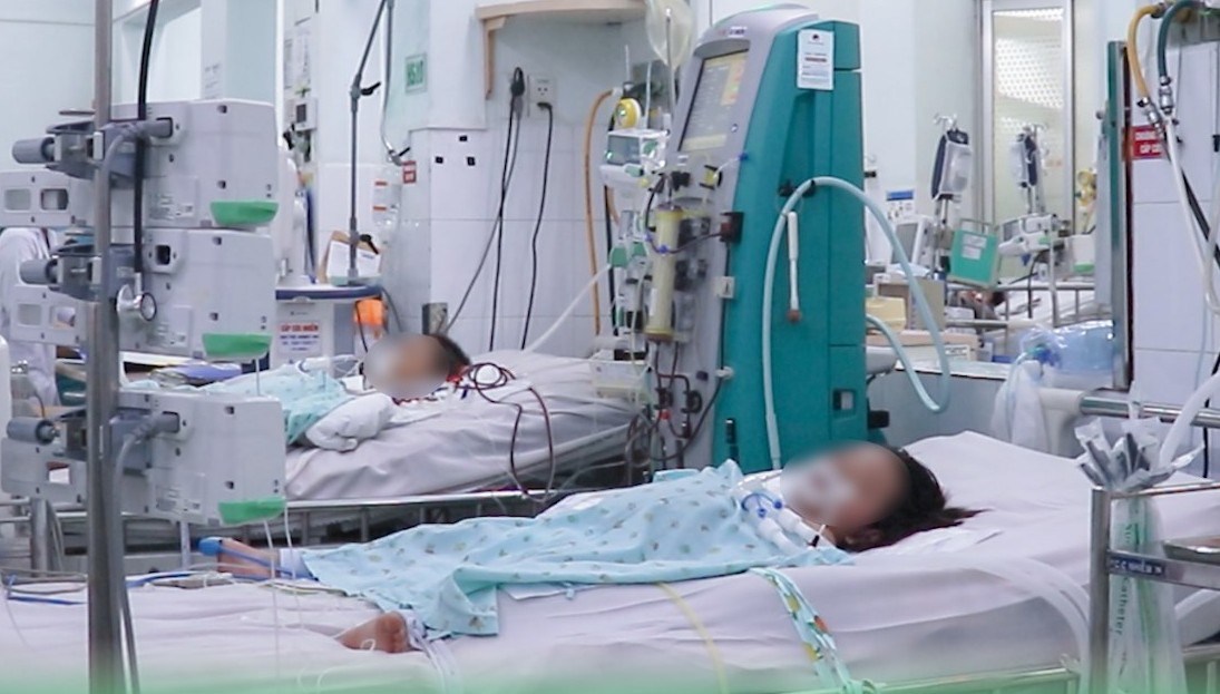 Children hospitalized for severe dengue fever. Photo: Provided by Children's Hospital 2