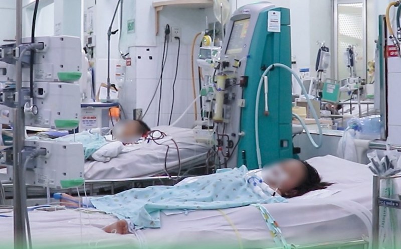 Children hospitalized for severe dengue fever. Photo: Provided by Children's Hospital 2