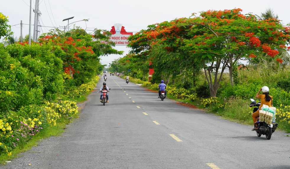 The appearance of Soc Trang rural areas is increasingly improving thanks to the New Rural Development Program. Photo: Phuong Anh