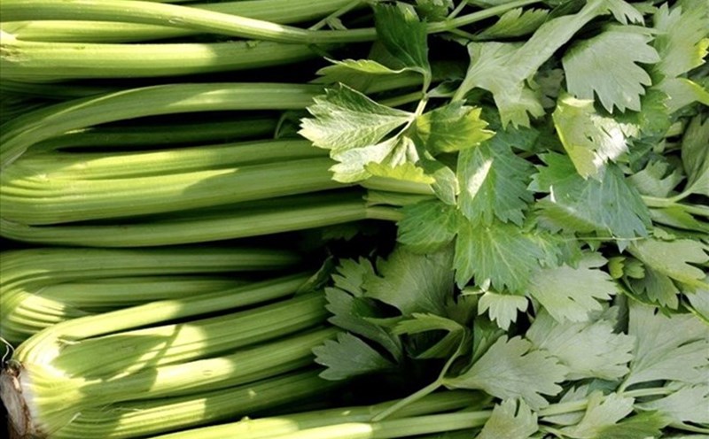 Celery juice has the effect of supporting natural uric acid reduction. Photo: Lam Anh.
