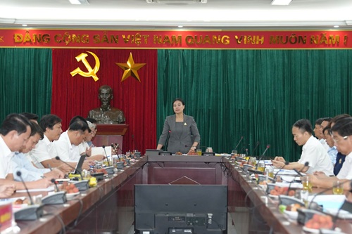 Head of Working Group No. 10 - Ms. Bach Lien Huong - directed and guided the arrangement of commune-level administrative units. Photo: Hoai Anh