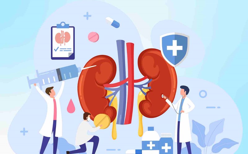 4 ways to supplement water to keep your kidneys healthy every day