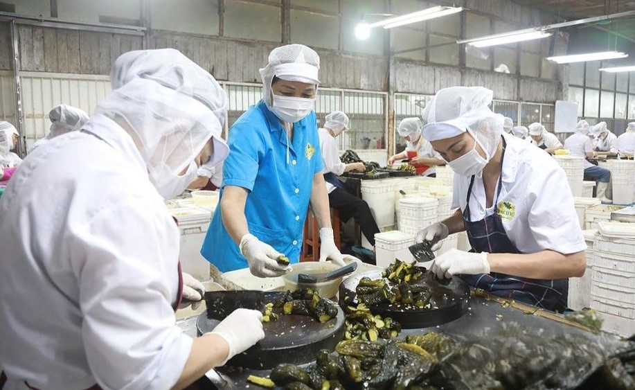 Workers at an agricultural processing facility in Hoa Binh - the industrial and processing sector plays an important role in local GRDP growth. Photo: Minh Vu