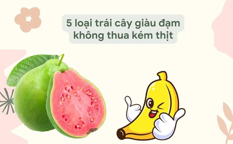 Guava, avocado... are fruits rich in protein that are not inferior to meat. Graphic photo: Huong Son