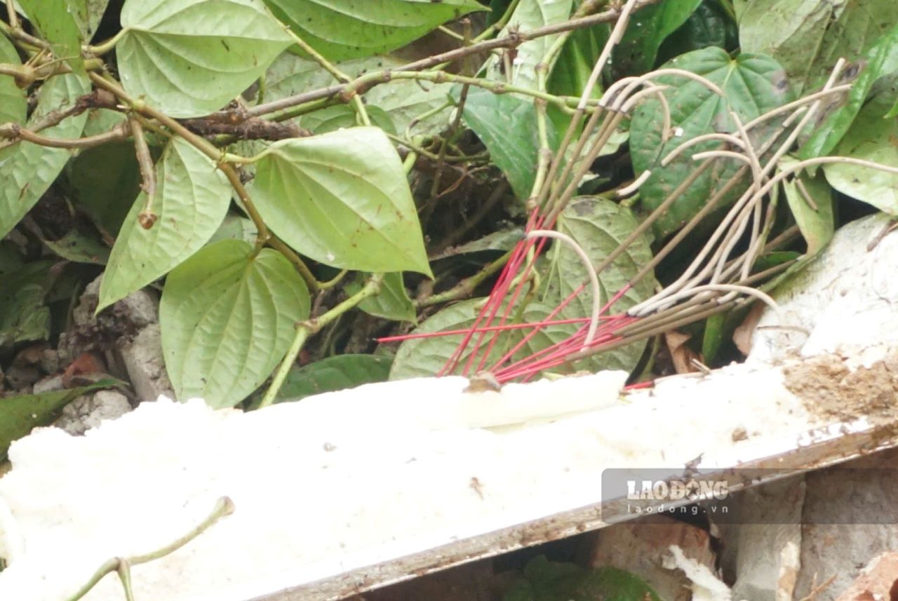 Tren dia ban tinh Yen Bai con nhieu vi tri tiem an nguy co sat lo cao. Anh: Van Duc.